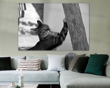 KATZE 3 von Miroslav Ptacek