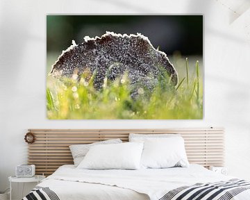 Winterse kristallen op herfstgoud