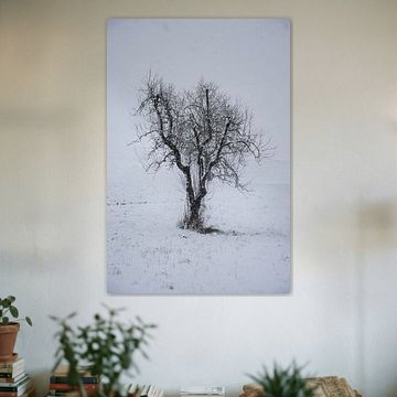 Silhouette in Silence