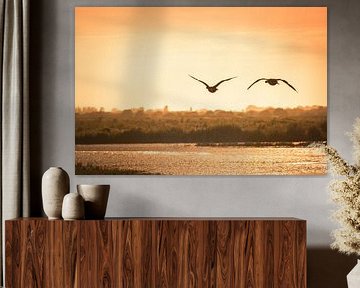 Dem Sonnenuntergang entgegenfliegen von Rob van der Wal