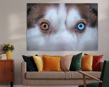 Seltsam beäugt von Rob van der Wal