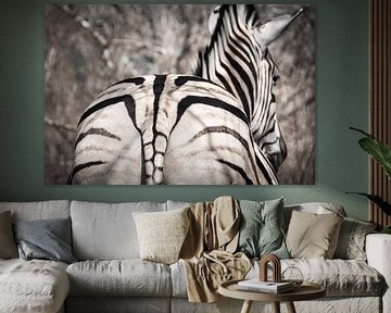 Rayé sur Rob van der Wal