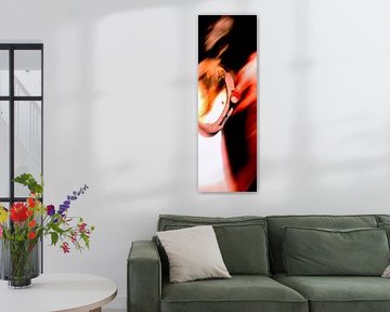 Pferdestärke4 von Willem Hartgers