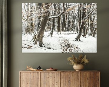 Forêt de Speulder [Hiver]