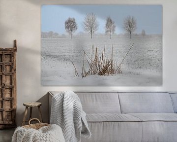 Paysage d'hiver hollandais #1