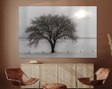 Nederlands winterlandschap #3