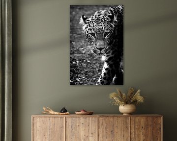 Der stille Jäger von chloe de vetter