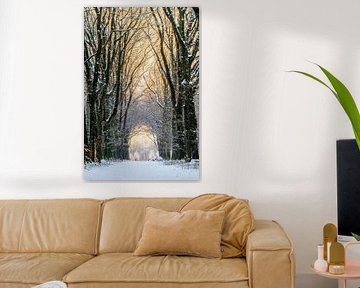 Kleurrijke sneeuwdag van Max ter Burg Fotografie