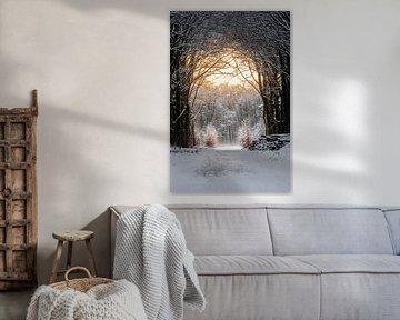 Avenue de la forêt d'hiver sur Max ter Burg Fotografie