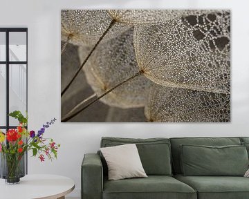 Soft nature in calm natural tones: Fluff with water droplets by Marjolijn van den Berg