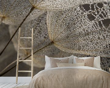 Soft nature in calm natural tones: Fluff with water droplets by Marjolijn van den Berg