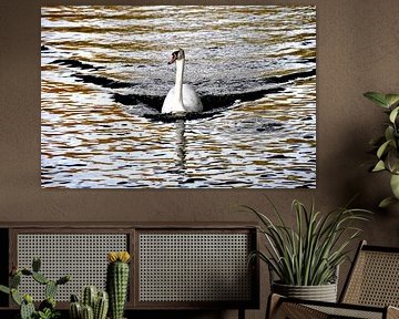 WHITE SWAN 1 by Miroslav Ptacek