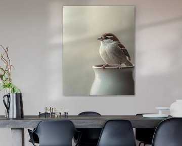 Spatz im Gleichgewicht