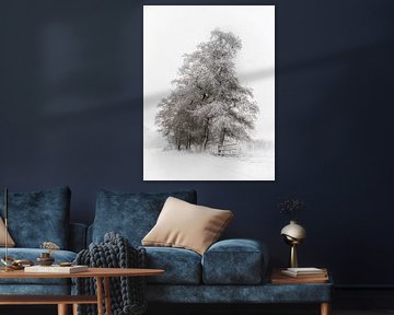 Winterse rust in het Land van Cuijk