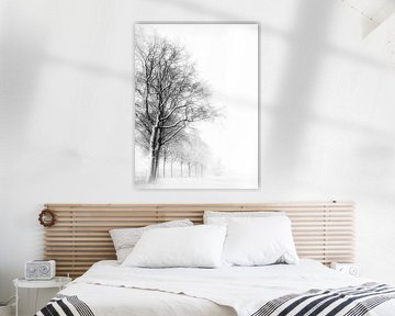 Ruhige Winterallee im Land von Cuijk - Beers (NB)