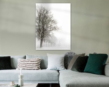Tranquil winter avenue in the Land of Cuijk by Lex Schulte