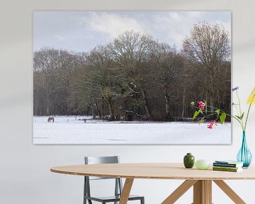 Winter in Groningen (Nederland) van Marcel Kerdijk