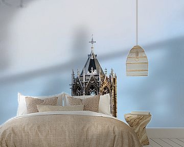 De besneeuwde Domtoren van Utrecht vanaf het Moreelsepark. (staand, midden in beeld)