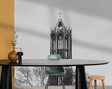 De besneeuwde Domtoren van Utrecht vanaf het Moreelsepark. (liggend, zwartwit)