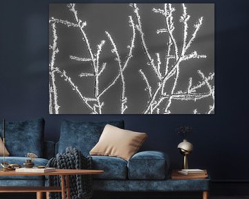 Ripe in black and white by Jan Fritz