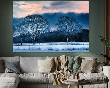 Winter in Diepenveen 1 by Made by Martin