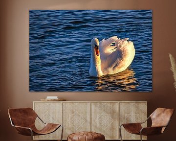 Where the light kisses the feathers by Photoart-Naegele