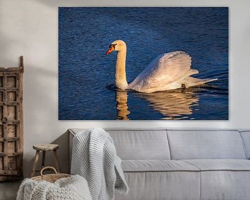 Where the light kisses the feathers by Photoart-Naegele