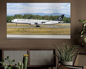 Lufthansa Airbus A340-300 in Star Alliance livery.