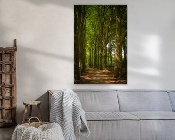 Waldweg von Elke van Putten