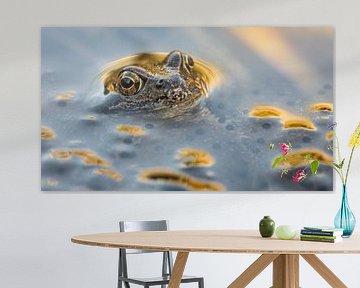 Les yeux d'or sur Elke van Putten