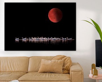 Blood Moon 2015 by Tejo Coen