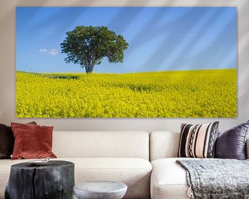 Paysage minimaliste avec arbre isolé