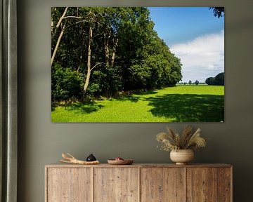 Typische Heckenlandschaft in Zelhem in der Region Achterhoek