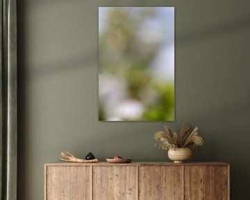 Soft focus in green I