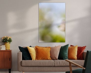 Soft focus in green II