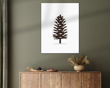 Pine Cone Study