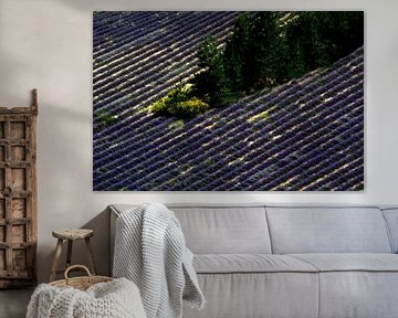 PROVENCE 3 von Miroslav Ptacek