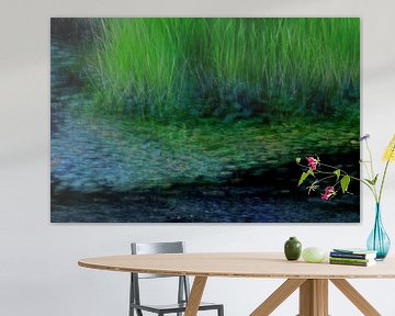 ÉTANG 3 sur Miroslav Ptacek