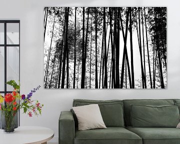 FORÊT DE BAMBUS 2 sur Miroslav Ptacek