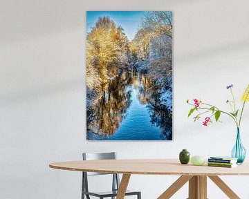 L'hiver au bord de la rivière sur Dieter Walther