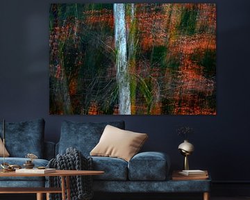 FORÊT DES FANTASTIQUES 9 sur Miroslav Ptacek