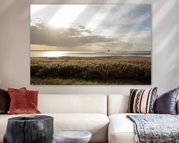 Arable farming in the Westerschelde floodplain near Rilland by AdWF