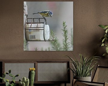 Blue tit atop peanut butter jar. by Huub de Bresser