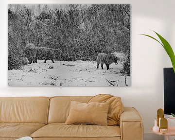 Scottish Highlanders Schwarz-Weiß-Ausgabe von Truckpowerr