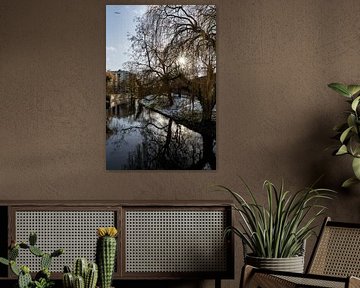 Canaux d'Amersfoort sur Shaquille Maarschalkerweerd