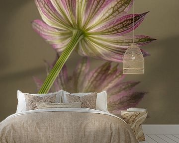 Botanical Brilliance: Abstracte reflectie van een roze Astrantia major van Marjolijn van den Berg