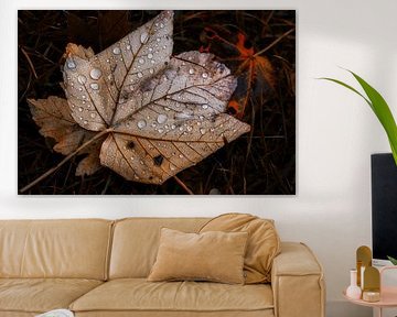 Autumn von Mario Taßler