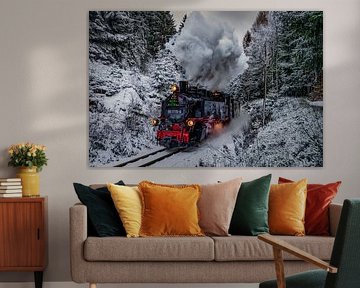 Winterdampf von Mario Taßler