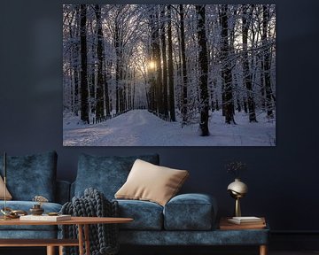 Eine blasse Sonne in einem verschneiten Wald (de Bilt) von wil spijker