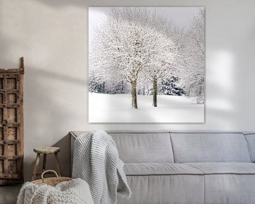 Serene landscape in snow.